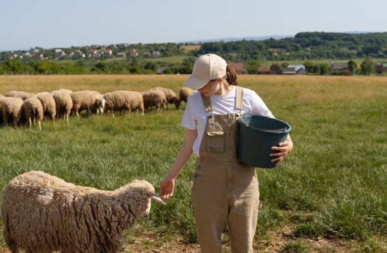 Furajarea mieilor în primele săptămâni de viață: baza unei dezvoltări sănătoase
